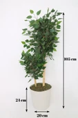 Yapay Ficus Benjamin Ağacı – Dolgun Yeşil Yapraklı, Ev ve Ofis Dekorasyonuna Uygun, Bambu Gövdeli - 4