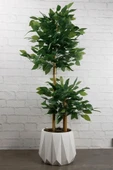 Dekoratif Beyaz Beton Saksı Kaktüs Sukulent Bambu Çiçek Saksısı 22 cm - 2
