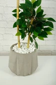 Yapay Çiçek Dekoratif Beton Saksıda Starlight Benjamin Ağacı Bambu Gövdeli Salon Ev Bitki 105 Cm - 6