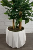 Dekoratif Beyaz Beton Saksı Kaktüs Sukulent Bambu Çiçek Saksısı 22 cm - 6