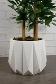 Dekoratif Beyaz Beton Saksı Kaktüs Sukulent Bambu Çiçek Saksısı 22 cm - 4