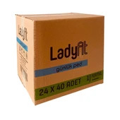 Lady Fit Günlük Ped No: 1 Normal 40 lı x 24 Adet - 2