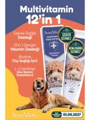 Brave Paws Multivitamin Paste Köpekler İçin 100 Gr thumbnail 1