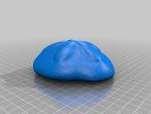 Deniz Bisküvi (Echinoid / Echinodermata) Plastik Aparat - 1