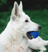 SESLI MAMA OYUN TOPU thumbnail 3