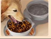 Mikopet Katlanabilir İkili Mama ve Su Kabı thumbnail 3