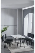 Elfin 70x110 Beyaz Yemek Masası, Yemek Masası Takımı, 2 Sandalye 1 Bench - Antrasit - 1