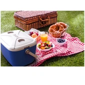 20 Lt Buzzy Buzluk Termos (1179 Cooler Box) thumbnail 2