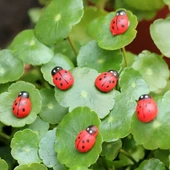 Uğur Böceği Yapıştırıcı Duvar Tipi Sevimli Organizer Yapışkanlı Mini Eşya Tutucu Diş Fırçası Kalem Mutfak Gereçleri İçin Pratik 25 Adet thumbnail 7