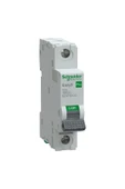 Schneider Electric EZ9F59125 1X25A 10kA C Otomatik Sigorta Easy9 Pro thumbnail 1