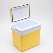 Icepeak SF26 Taşıma Çantası Buzluk 26 Litre-SARI - 2