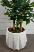 Yapay Çiçek Beton Saksıda Benjamin Salon Balkon Ev Ağacı Yeşil Bitkisi Bambu Gövdeli Dolgun 105 Cm - 2