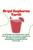 ORÇEL Portakal +Limon +Kuşburnu +Kivi +Elma +Karadut Aromalı içecek Tozu Oralet 6x1 kg - 4