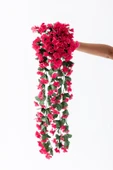 Yapay Begonvil Çiçeği 75 cm Fuşya 22 dal - 1