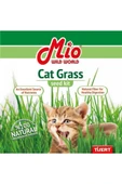 MİO Fileli Kedi Çimi - 1