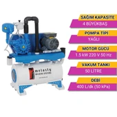 Melasty Süt Sağım Sistemi Vakum Pompa Seti (220V-50Hz-1,5kW) (400 L/dk - Yağlı) thumbnail 2