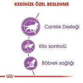 Royal Canin Sterilised 2 kg Kısırlaştırılmış Yetişkin Kedi Maması - 2