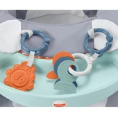 Fisher Price Tepsili Ana Kucağı HBF27 - 5