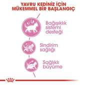 Royal Canin Kitten Yavru Kedi Maması 2 kg - 2