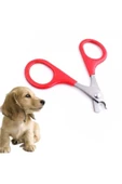 Kedi Mini Irk Köpek Evcil Hayvan Tırnak Makası Düzeltme Kesme Mini Irk Köpek Tırnak Makası thumbnail 2