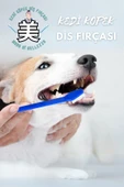 Kedi Köpek Diş Fırçası thumbnail 1