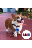 Kedi Köpek Kaka Poşeti Kedi Köpek Kaka Torbası Evcil Hayvan Dışkı Torbas thumbnail 2
