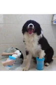 Welfare Köpek Pati Yıkama Aparatı Küçük thumbnail 3