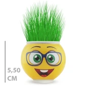 Çim Adam Saksı Emoji Figürlü 1 Adet - 1