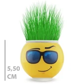 Çim Adam Saksı Emoji Figürlü 1 Adet - 2