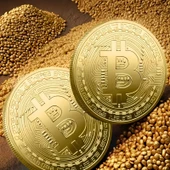 Altın Kaplama Bitcoin Anma Madeni Coin - Arkadaşlar İçin Benzersiz Koleksiyonluk Hediye thumbnail 6