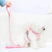 Evcil Hayvan Peluş Ayıcıklı Göğüs Gezdirme Tasması Set - 4