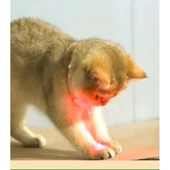 MDB Otomatik Lazer Oyun Tasması thumbnail 3