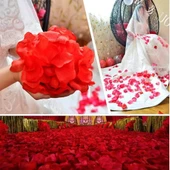 MDB Kırmızı Renk Gül Yaprağı – 5 Paket 500 Adet thumbnail 3