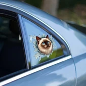 Fulcar Siamesse Araç Stickerı thumbnail 2