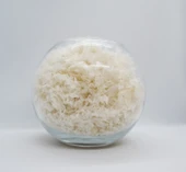 Kitosan ( Chitosan ) %90-95 Dislitasyon Toz Form - 1 Kg - 1