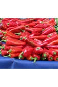 Muka Botanik 20 Adet Tatlı Kırmızı Biber Tohumu thumbnail 1