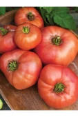 Muka Botanik 20 Adet Omar's Lebanese Domates Tohumu thumbnail 2