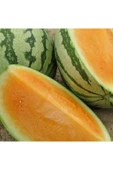 Muka Botanik 10 Adet Sweet Tendersweet Portakal Karpuz Tohumu thumbnail 1