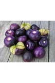 Muka Botanik 10 Adet Purple Domates Tohumu thumbnail 1