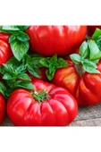 Muka Botanik 20 Adet Beefsteak Domates Tohumu thumbnail 2