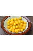 Muka Botanik 20 Adet Yellow Canary Micro Dwarf Domates Tohumu thumbnail 3