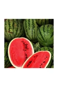 Muka Botanik Meşhur Diyarbakır Karpuzu Tohumu 10 Adet Tohum Karpuz Tohumu thumbnail 2