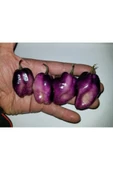 Muka Botanik 10 Adet Purple Jolokia Peach Biber Tohumu thumbnail 1