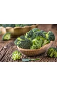 Muka Botanik 20 Adet Organik Brokoli Tohumu thumbnail 1