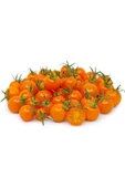 Muka Botanik 20 Adet Sun Gold Cherry Domates Tohumu thumbnail 1