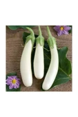 Muka Botanik Süper Paket 50 Adet Tohum Ithal Endonezya Beyaz Kemer Patlıcan Tohumu thumbnail 1