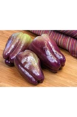 Muka Botanik 20 Adet Purple Bell Biber Tohumu thumbnail 2