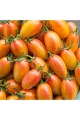 Muka Botanik 20 Adet Blush Domates Tohumu thumbnail 3