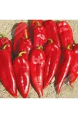 Muka Botanik 30 Adet Tohum Kırmızı Kapya Biber Tohumu Etli Pat Biber Kebaplık Biber Sürpriz Hediye Tohumludur thumbnail 2