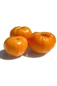 Muka Botanik Dev Italyan Turuncu Pileli Domates Tohumu Ekim Seti thumbnail 2